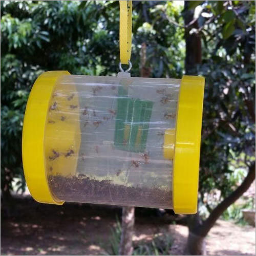 Fruit Fly Traps
