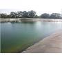 Pond Liner Sheet
