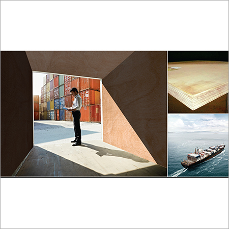 Shipping Container Plywood