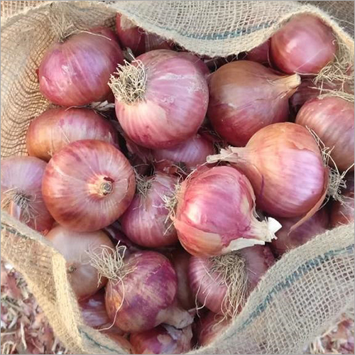 Fresh Red Onion - Size: 30 - 75 mm, Common Cultivation, Preserved Style | Versatile Vegetable & Spice for Curries, Sauces, and Dishes