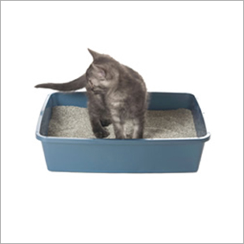 Cat Litter