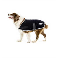 Dog Apparel