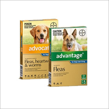 Dog Fler Ticks And Worming