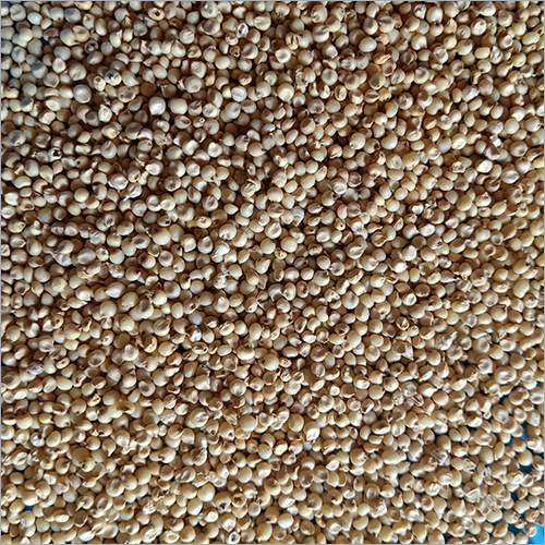 Organic Sorghum Seed - Whole, 8%-12% Moisture | Cultivated Organically with 1 Year Shelf Life