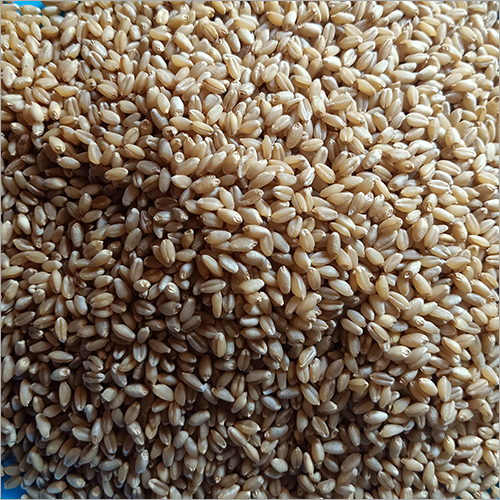 Organic Wheat Grains Moisture (%): 13.5 To 14%