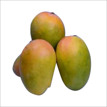 Organic Alphonso Mango