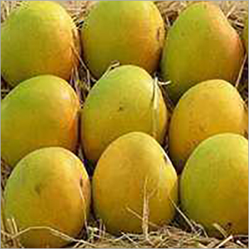 Organic Totapuri Mango