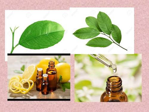 Lemon Oil