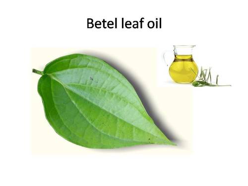 Fragrance Compound Betel Leaf Oil