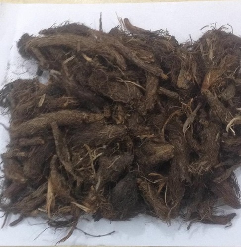 Jatamasi (Nardostachys jatamansi) Jatamasi (Nardostachys jatamansi)