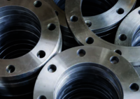 Industrial Ms Flanges