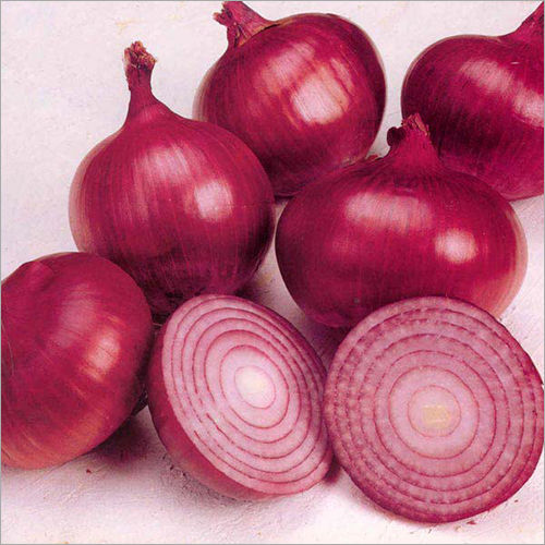 Round Fresh Red Onion