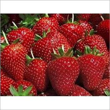 Red Fresh Strawberries