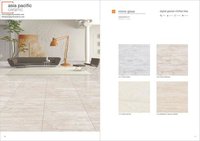 Digital Vitrified Tiles - Ceramic & Porcelain Material, Floor Application, Gloss & Matt Finish | Wear-resistant, Non-slip, Antibacterial Features