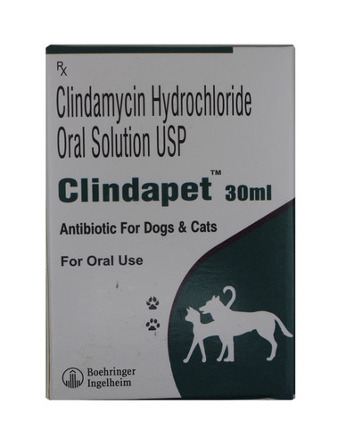 25mg 30ml Clindapet Clindamycin