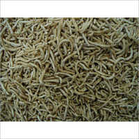 Good Quality And Rich Taste Masala Sev Namkeen