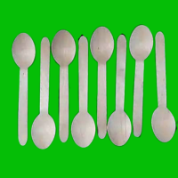 14 CM Wooden Spoon