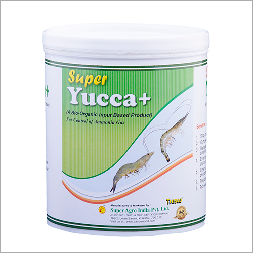 YUCCA Plant Extract