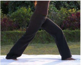 Yoga Pant Age Group: Adults