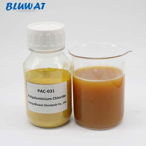 PAC 031