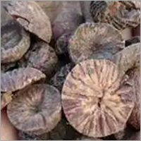 Betel Nut - Dried Tropical Nut Reddish-Brown Color | Cooking Spices Stimulant Effect Traditionally Used in Asian Cultures