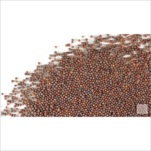 Mustard Seeds