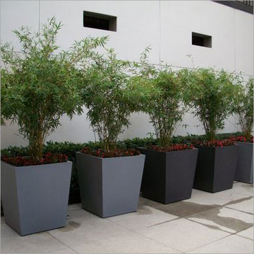 Square FRP Planter