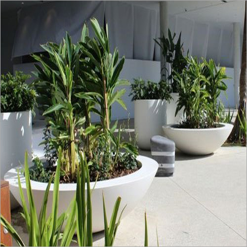 Designer Planter