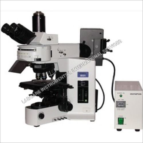 Fluorescence Microscope Resolution: 10X