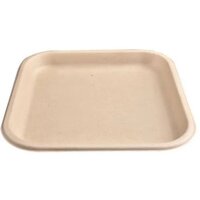 7 Inch  Square Plate Bagasse