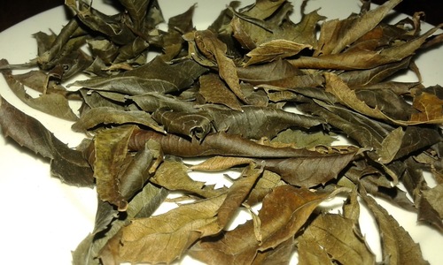 Natural Sun Dried Neem Leaves