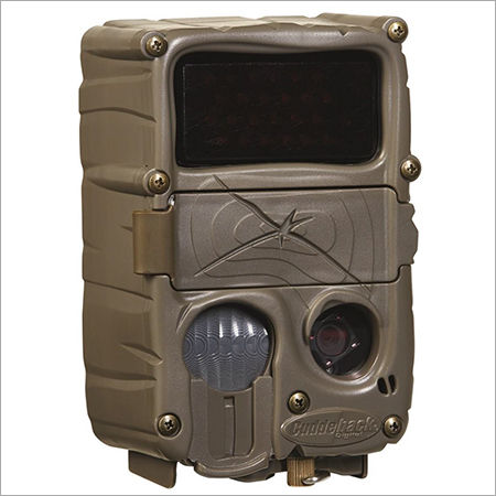 Camera Trap Black Flash