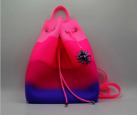 Silicone Backpack