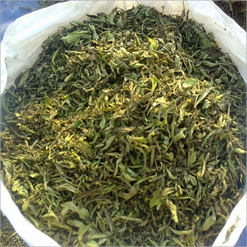 Green Chemical Free Stevia Dry Leaves