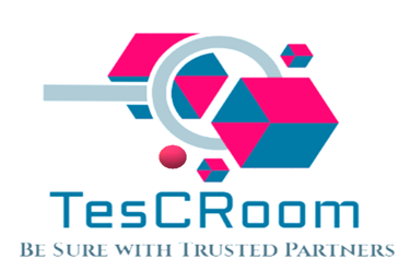 TesCRoom Clean Room Validation