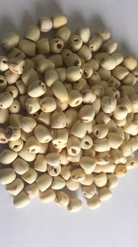 Lotus Seed