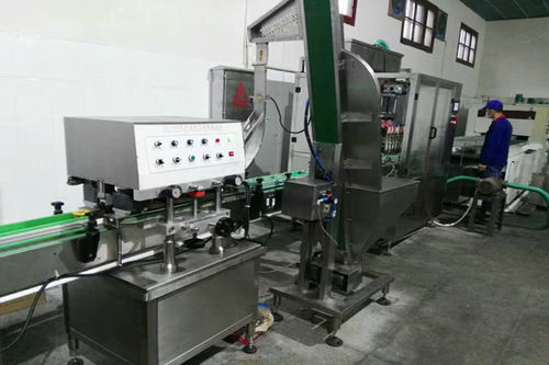 Automatic Piston Pump Filling Machine