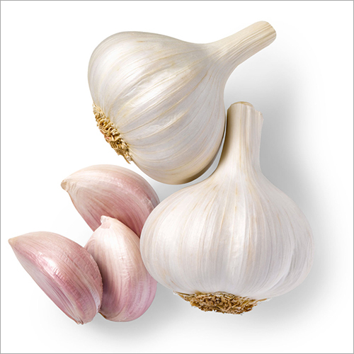 White Garlic Whole