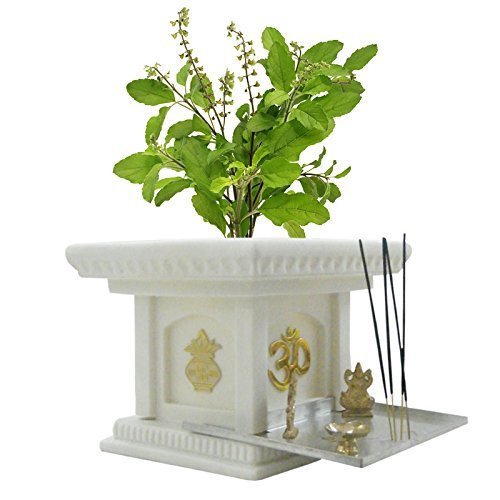 White marble stone  small Tulsi Pot