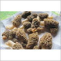 Dried Morel Mushroom - Organic Grade A 100gm, 200gm, 5Kg | No Artificial Flavour, No Preservatives, High Nutritional Value