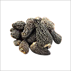 Fresh Morel Mushroom Shelf Life: 1 Years