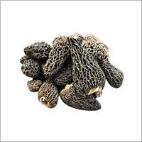 Fresh Morel Mushroom Shelf Life: 1 Years