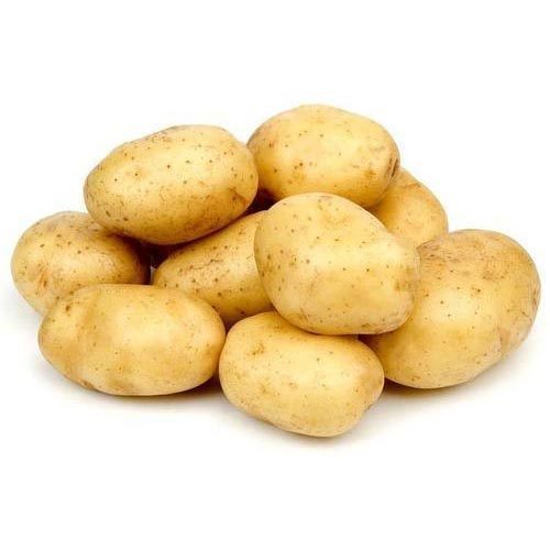 Common Fresh Potato