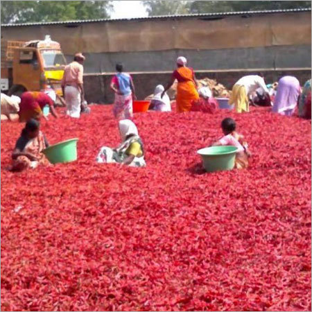 Red Chilli