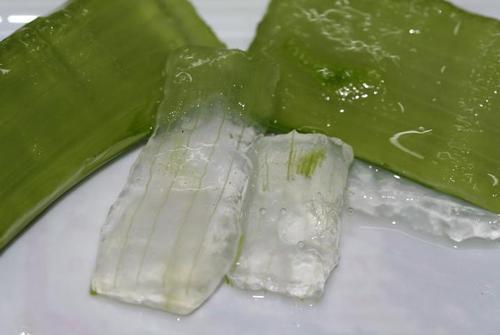 aloe vera pulp