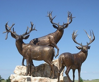 Whitetail Deer Family