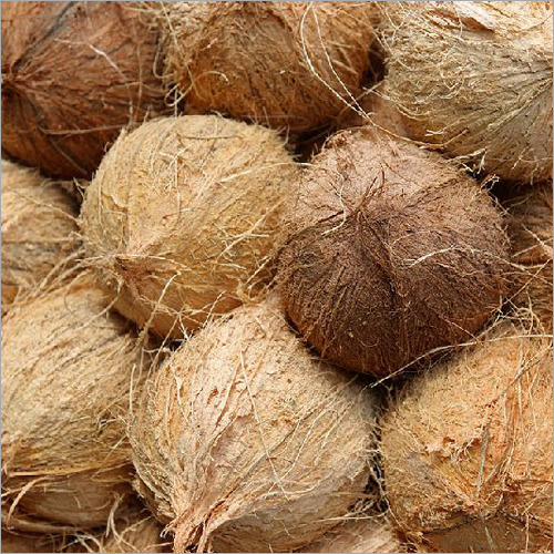 Natural Husked Coconut - 1kg Whole Dried Coconut, Full-Husked Brown Variety with High Iron, Protein, Potassium and Antioxidants