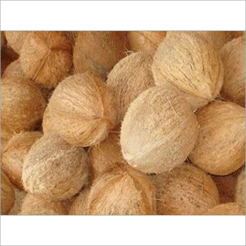 Brown Husked Coconut