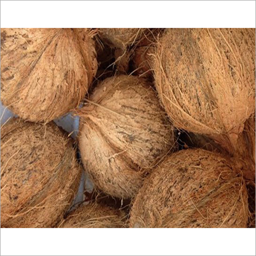 Indian Semi Husked Coconut - 1kg Whole, Round Shape | Brown Color, Thick Fibrous Layer, Refreshing Sweet Water, Easy Peeling