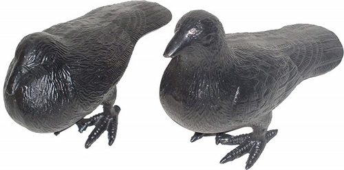 Garden Decorative Pigeon Statue Pair